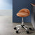 Artiss Salon Stool Swivel Chair Backrest Chairs