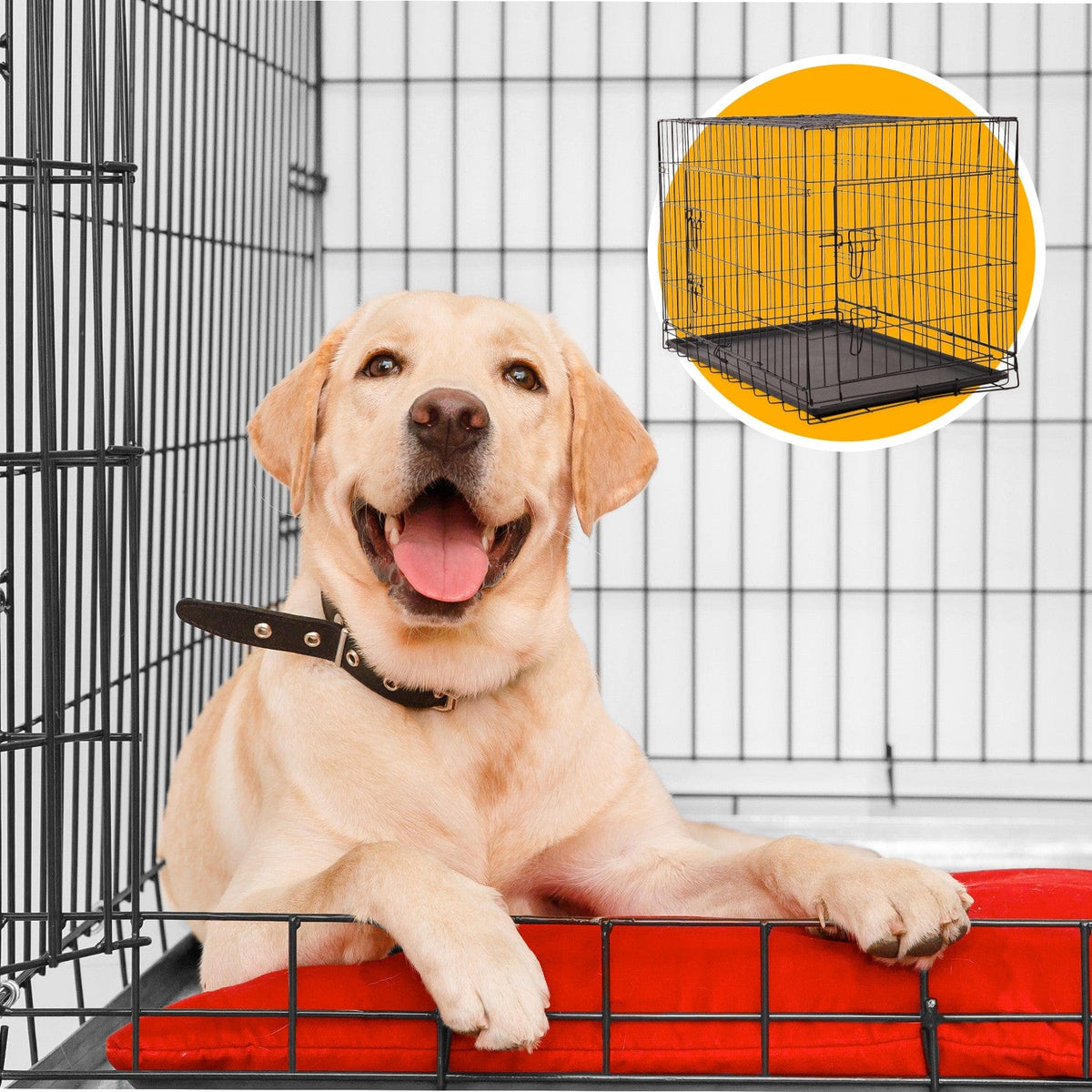4Paws Dog Cage Pet Crate Cat Puppy Metal Cage ABS Tray Foldable Portable Black - 36&quot; - Black