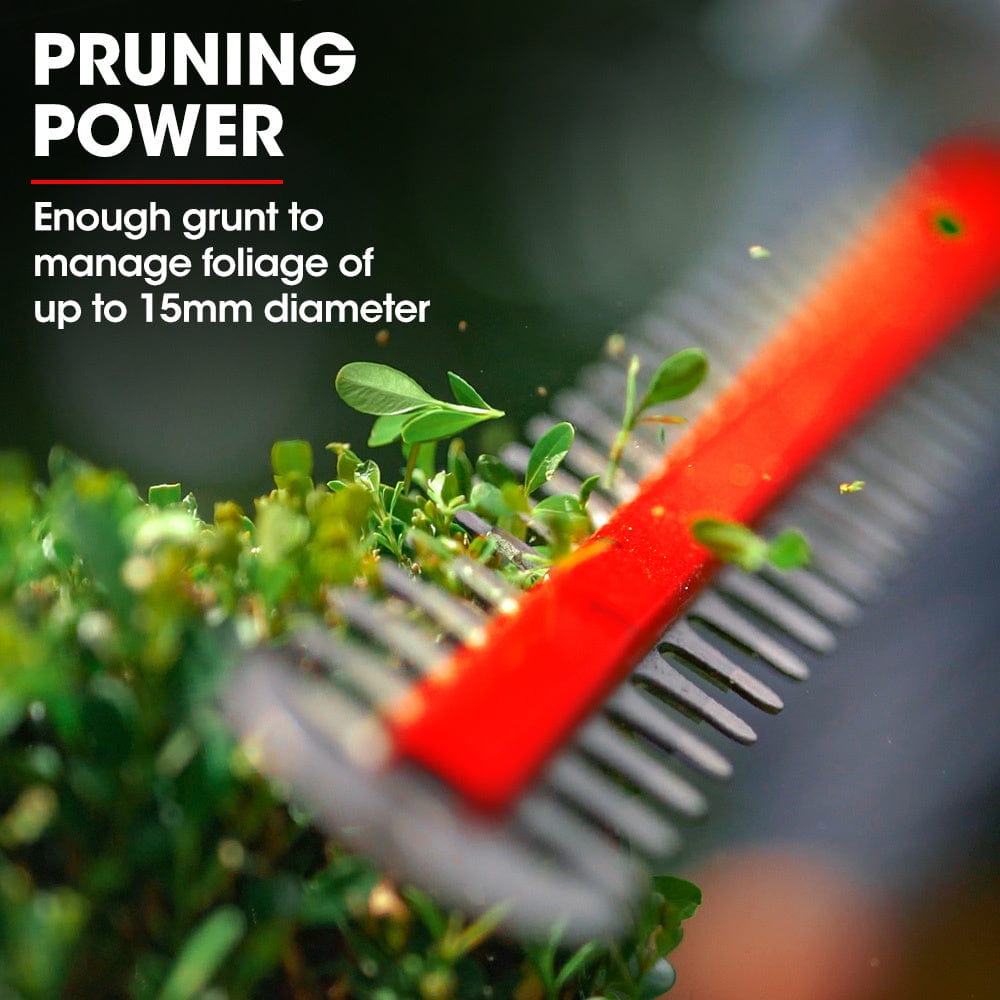 BAUMR-AG 20V Cordless Electric Hedge Trimmer Shrub Cutter with Rechargeable Battery &amp; Charger Kit