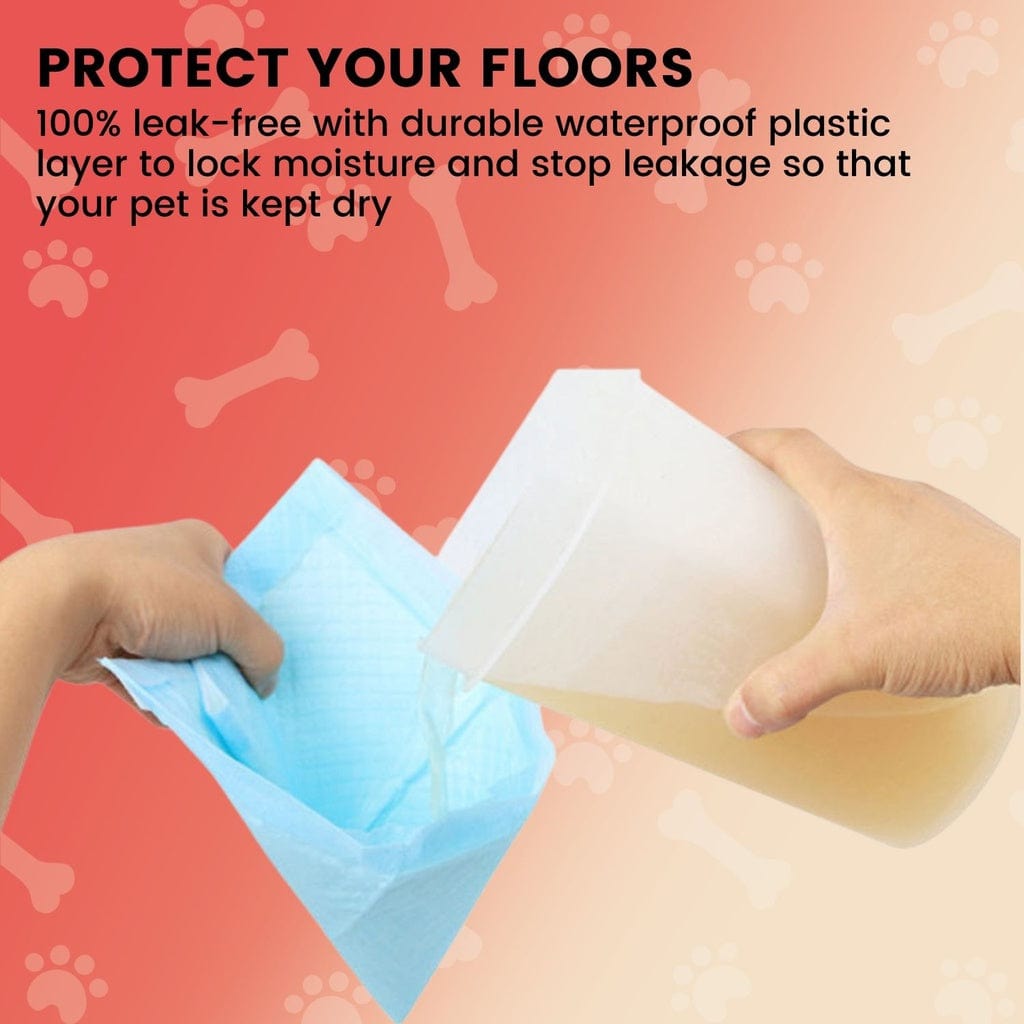 Floofi Pet Disposable Pad 50pcs pack