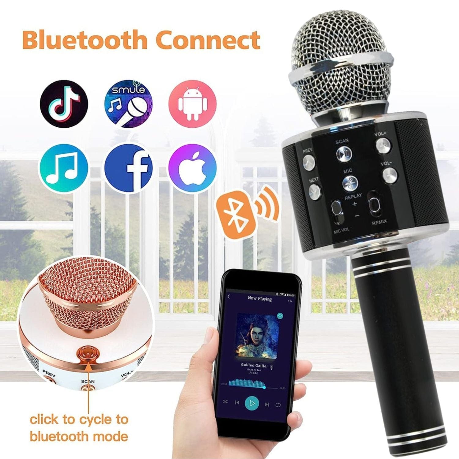 GOMINIMO 4 in 1 Wireless Bluetooth Karaoke Microphone with Record Function (Black)